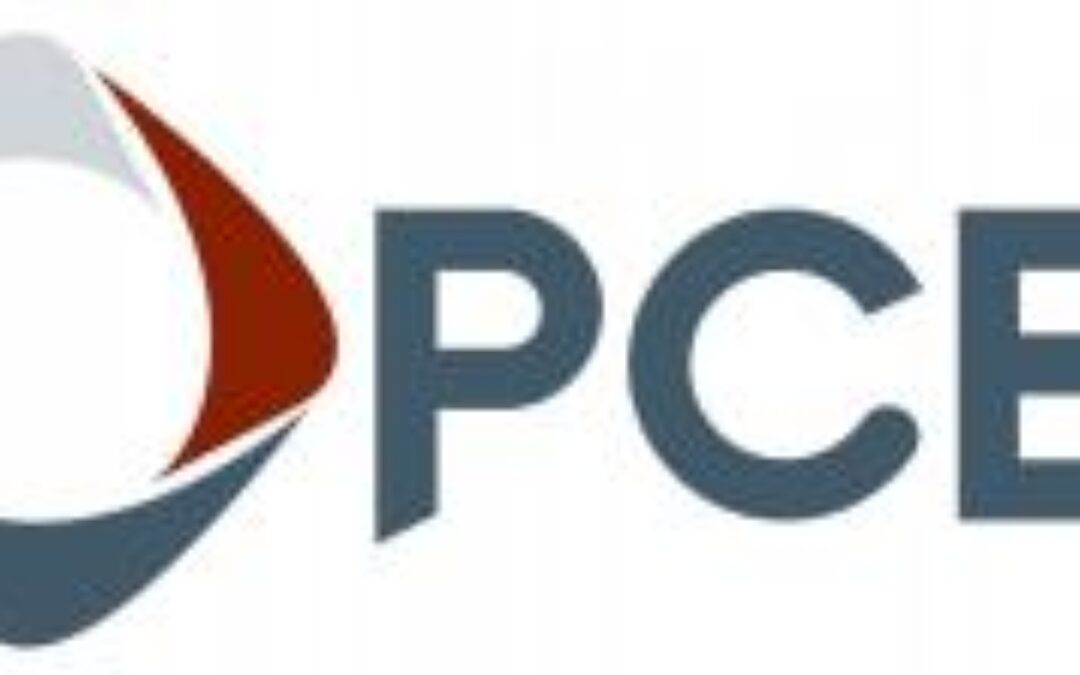 PCE PLASTICS DIVISION COMPANIES GET NEW LOOK